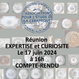 Expertise-et-Curiosite-17-juin-2024-CR-1