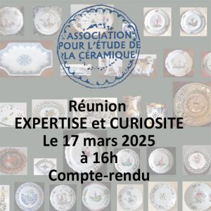 Expertise-et-Curiosite-compte-rendu