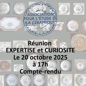Expertise-et-Curiosite-compte-rendu