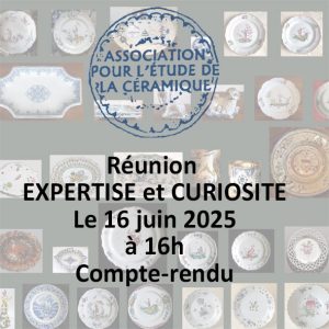 Expertise-et-Curiosite-compte-rendu-vignette